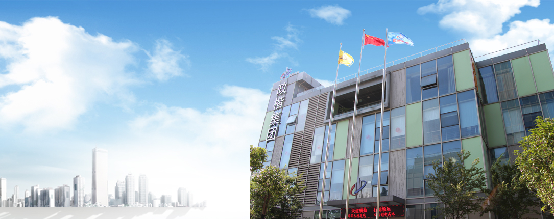 中安政楷建设控股集团有限公司大楼